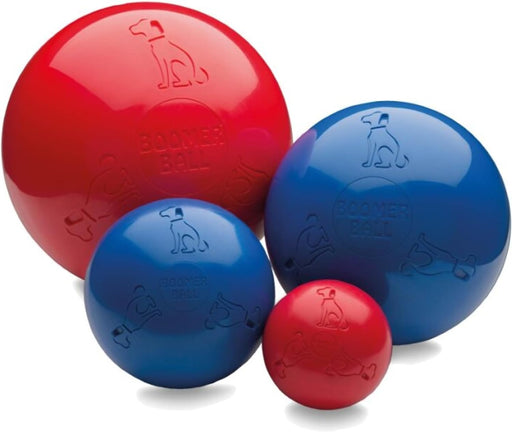 Boomer Ball 6 Inch, Virtually Indestructible Best Dog Toy, Boredom Busting Football, Tough & Durable Medium Dog Ball, Floats on Water, Great for Mental Stimulation & High Energy Dogs, Assorted Colours