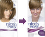 Nice'N Easy No Ammonia Hair Dye, 73 Ash Blonde, 1 Count (Pack of 1)